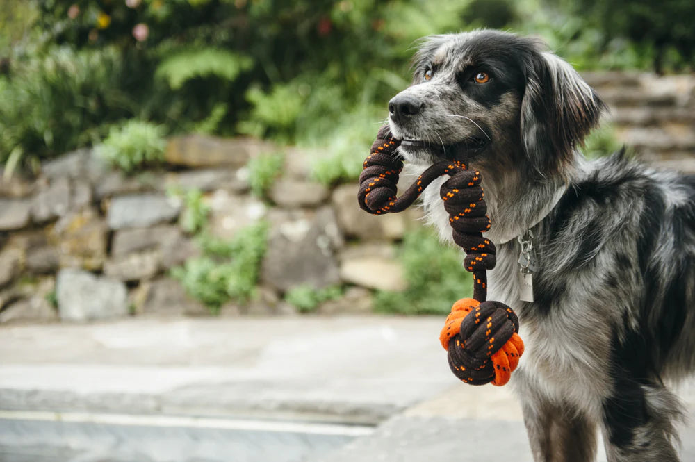 PLAY Scout & About Tug Ball Rope Toy Small