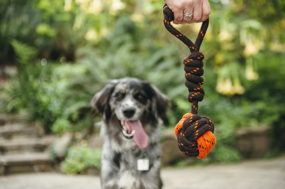 PLAY Scout & About Tug Ball Rope Toy Small
