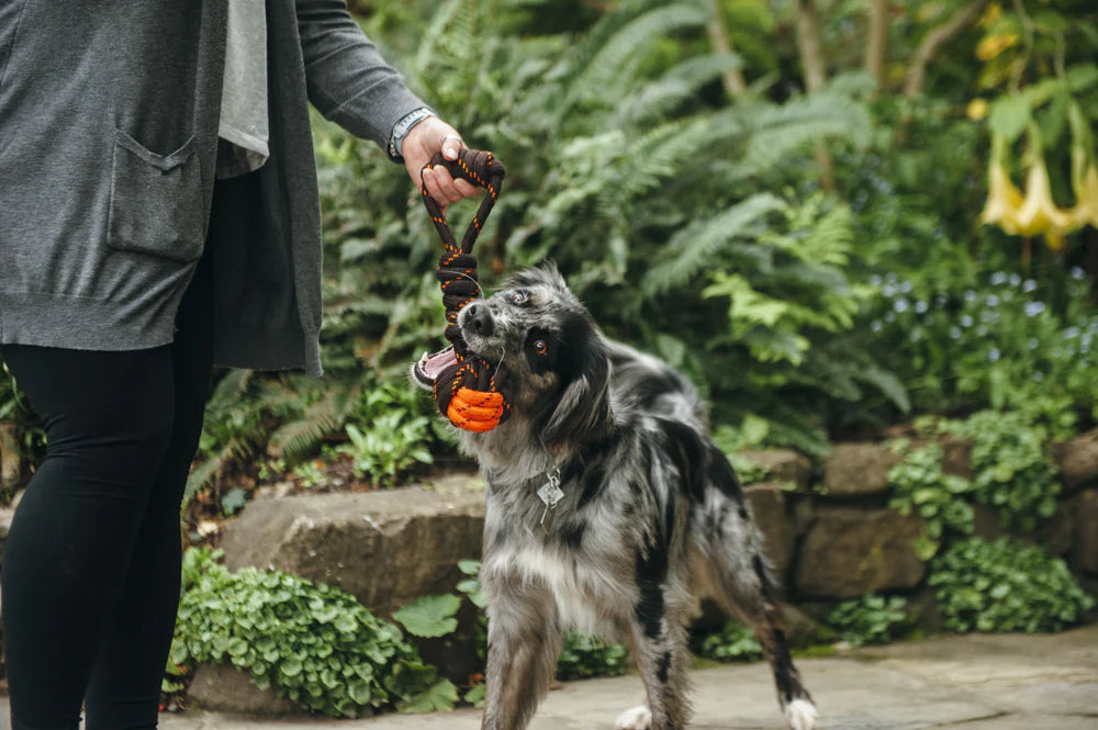 PLAY Scout & About Tug Ball Rope Toy Small