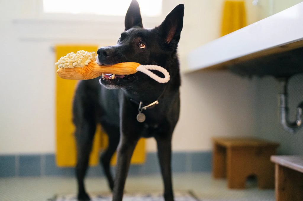 PLAY Splish Splash Bark N' Bristles
