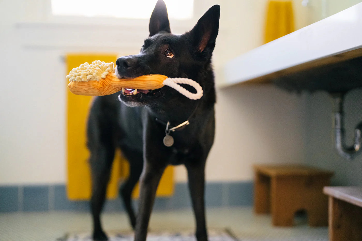 PLAY Splish Splash Bark N' Bristles