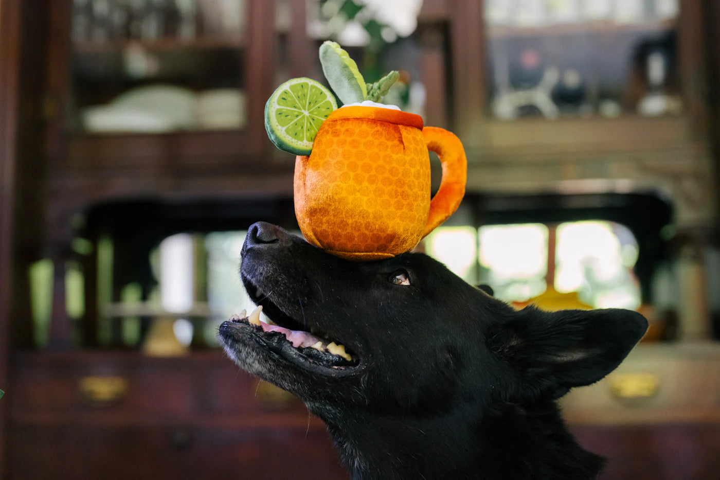 PLAY Barktender Mospaw Mule