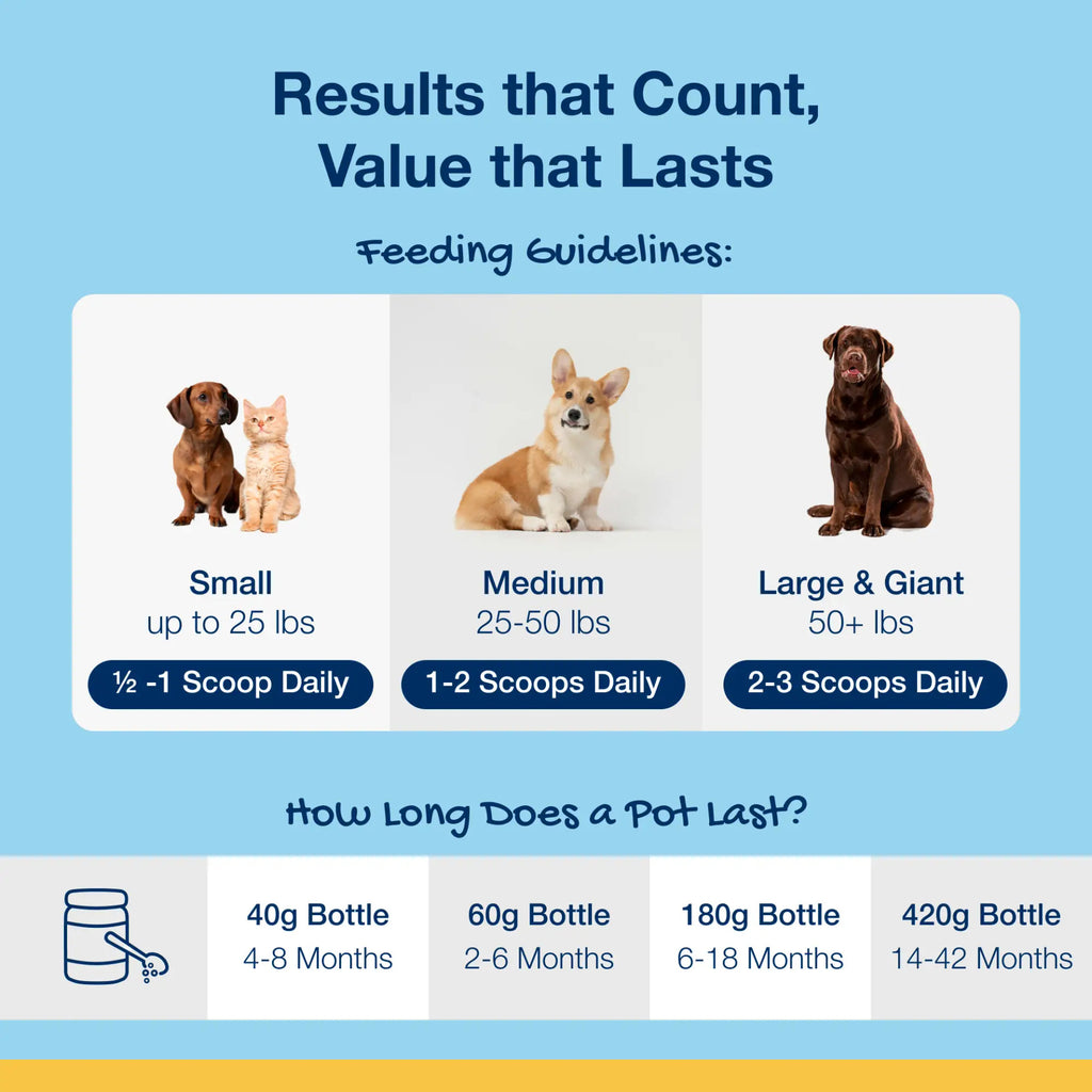 Proden Plaque Off Powder 6.4Oz/180G