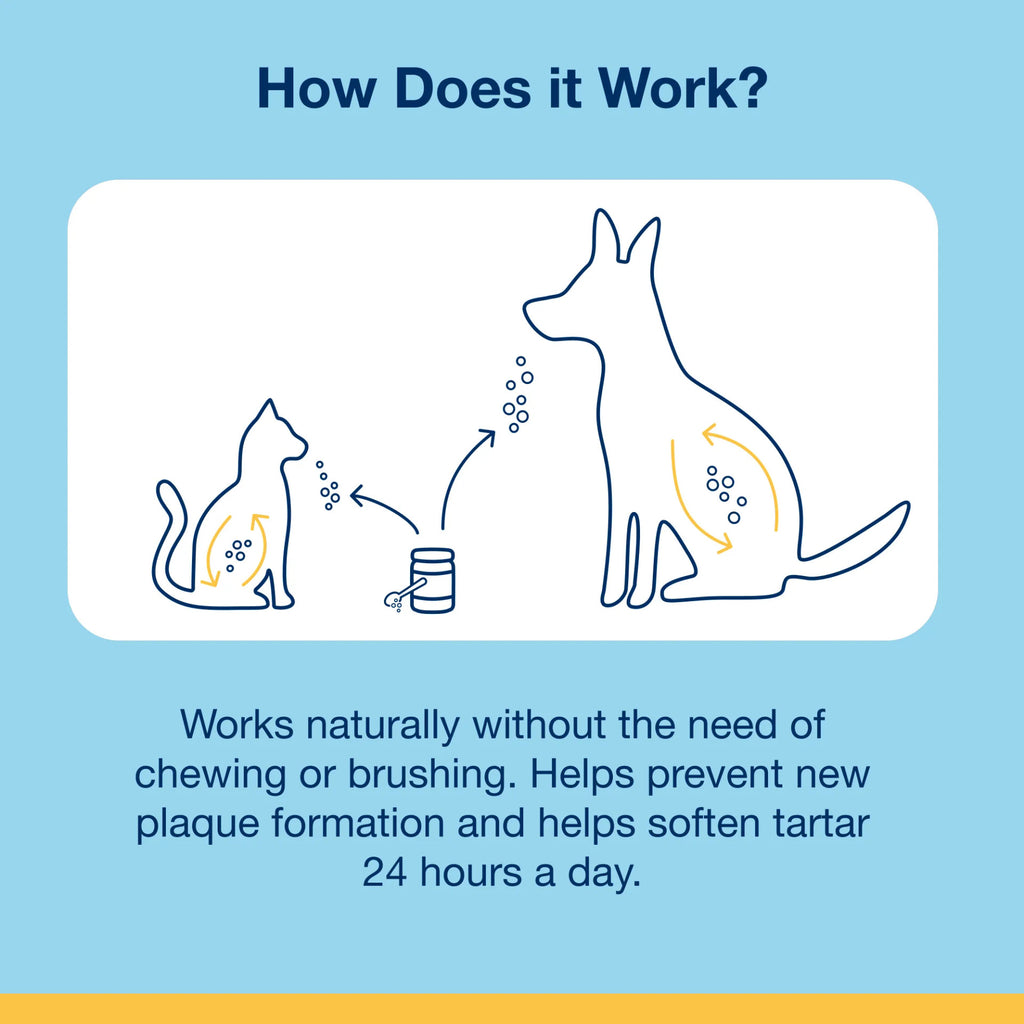 Proden Plaque Off Powder 6.4Oz/180G