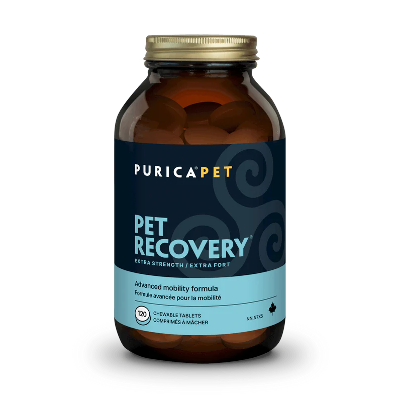 Purica Recovery Extra Strength Chewable Tablets 120Ct