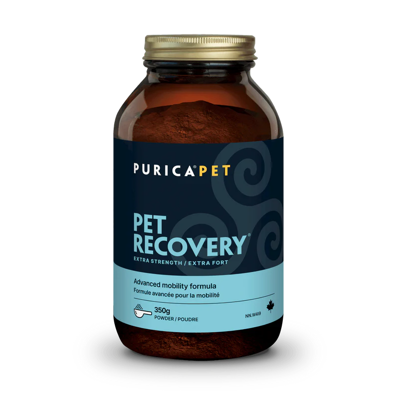 Purica Recovery Extra Strength Powder 350G