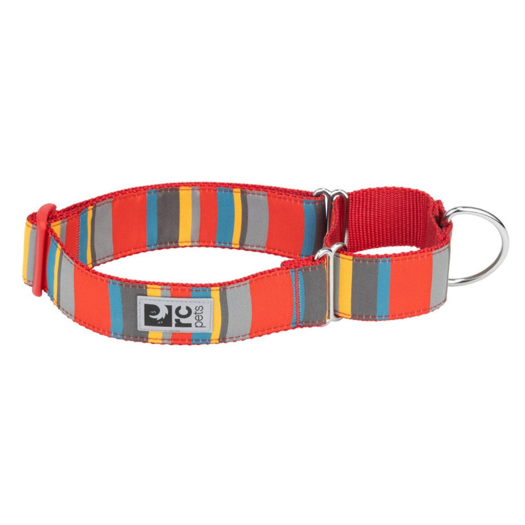 RC Pets All Webbing Training Collar Multi Stripes 1.5" Wide Medium
