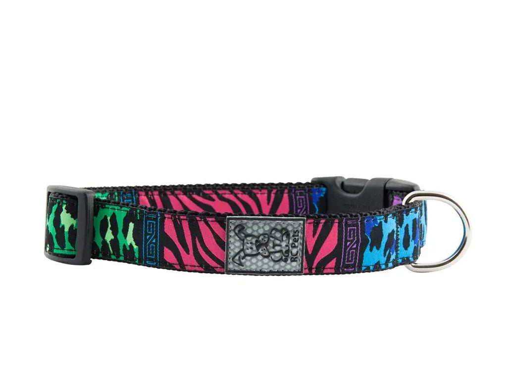 RC Pets Clip Collar Back To The Wild 1" Wide Large 15"-25" - Discontinued Pattern