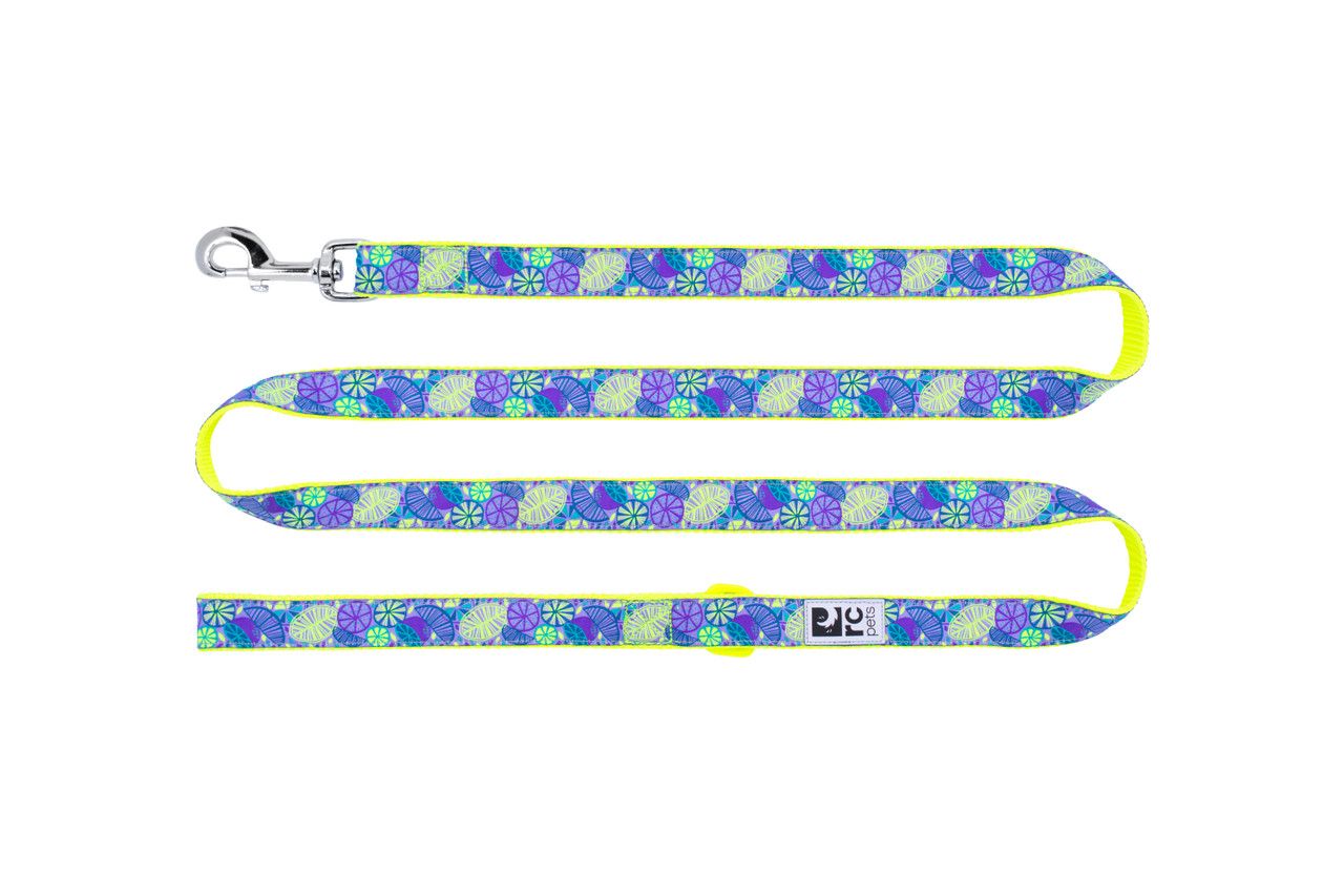 RC Pets Dog Leash Ctirus 1"x6'