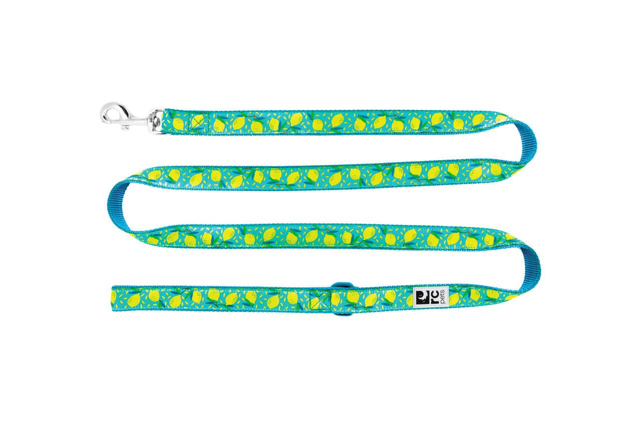 RC Pets Dog Leash Lemonade 1"x6'