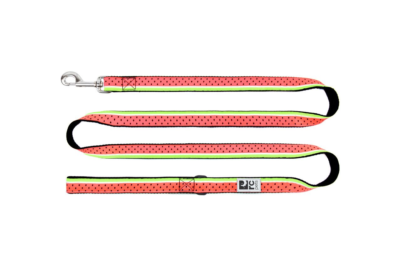 RC Pets Dog Leash Watermelon 3/4"x6'