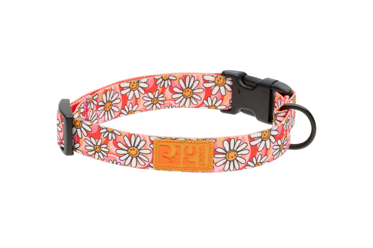 RC Pets Eco Clip Collar Daisy Joy 1" Wide Large 15" - 25"