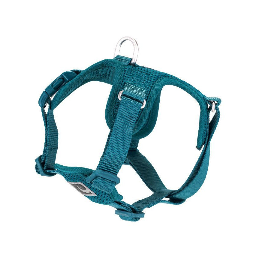 RC Pets Forte Step In Teal Medium