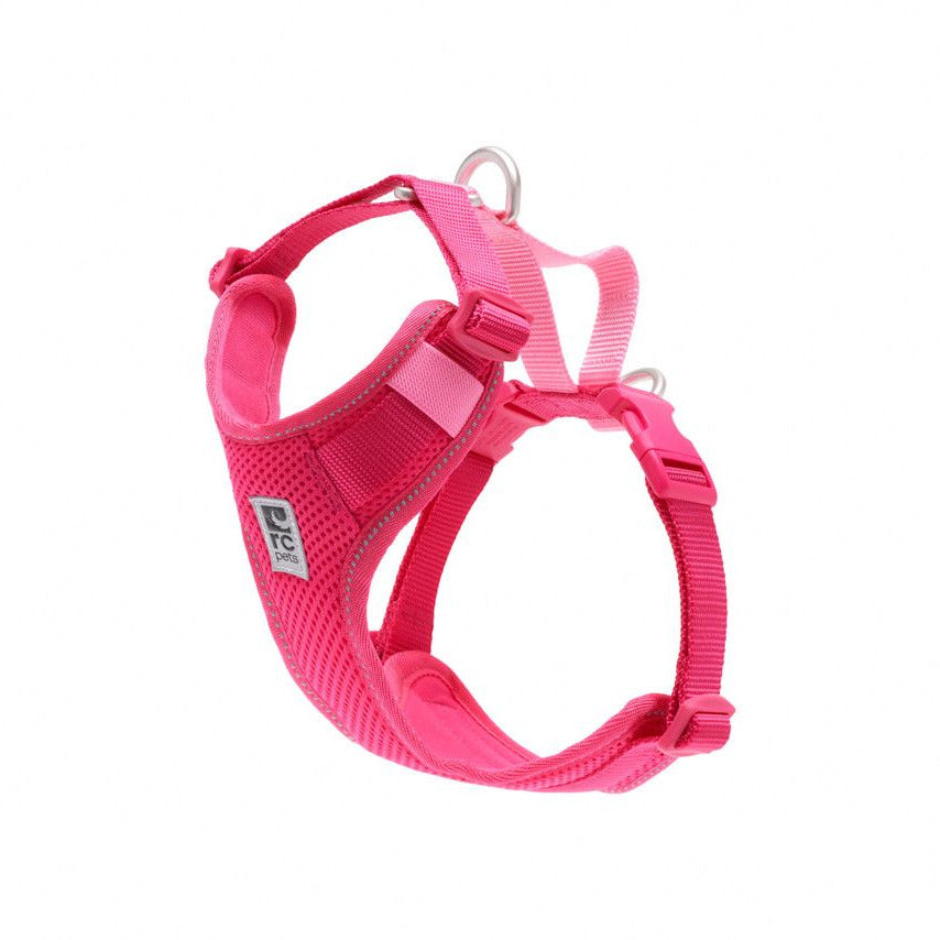 RC Pets Moto Control Azalea & Peony Medium
