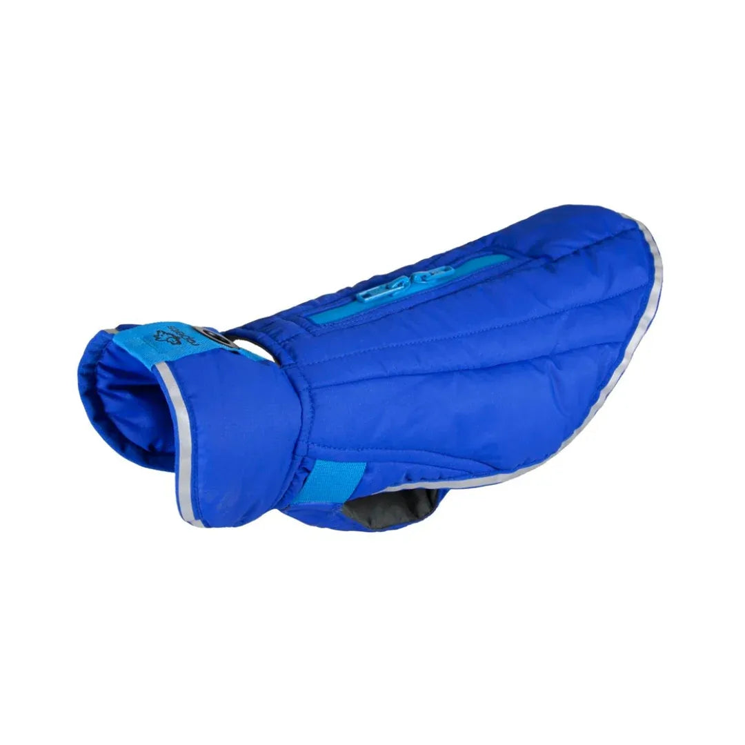 RC Pets Nimbus Puffer Royal Blue & Cyan 12" - Discontinued Style