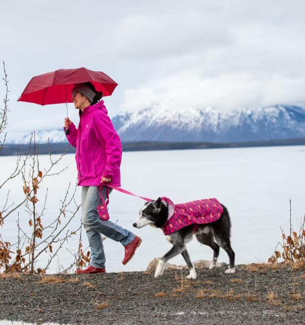 RC Pets Packable Rain Poncho Raindrops Medium - 17"