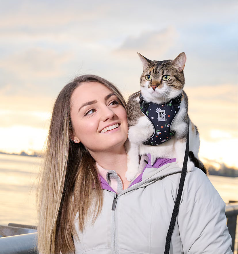 RC Pets Adventure Kitty Harness Multi Stripes Medium