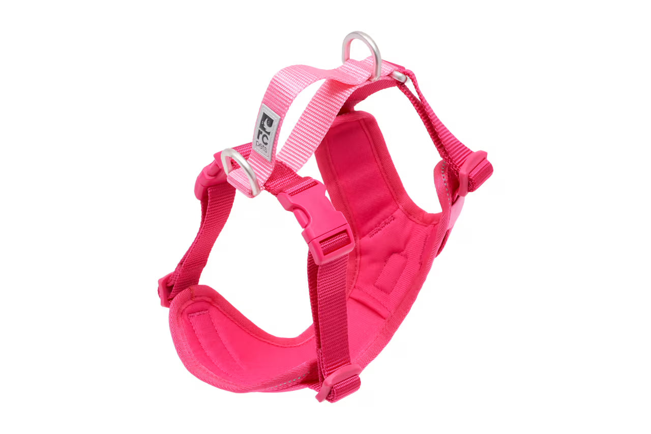RC Pets Moto Control Azalea & Peony Medium