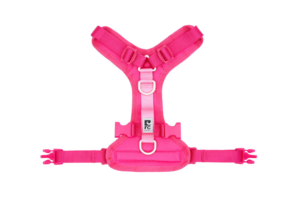 RC Pets Moto Control Azalea & Peony Medium