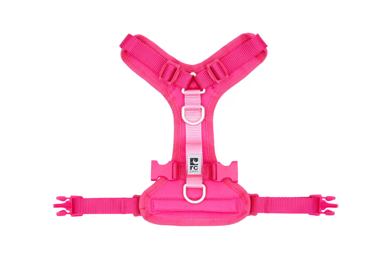 RC Pets Moto Control Azalea & Peony Medium