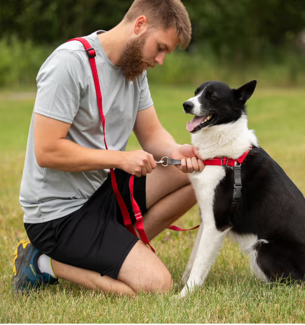 RC Pets Pace No Pull Harness Black Large