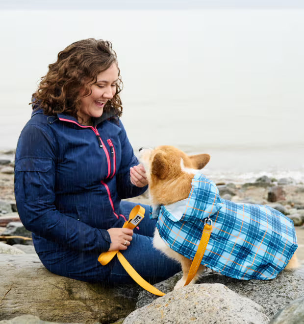 RC Pets Packable Rain Poncho Raindrops Medium - 17"