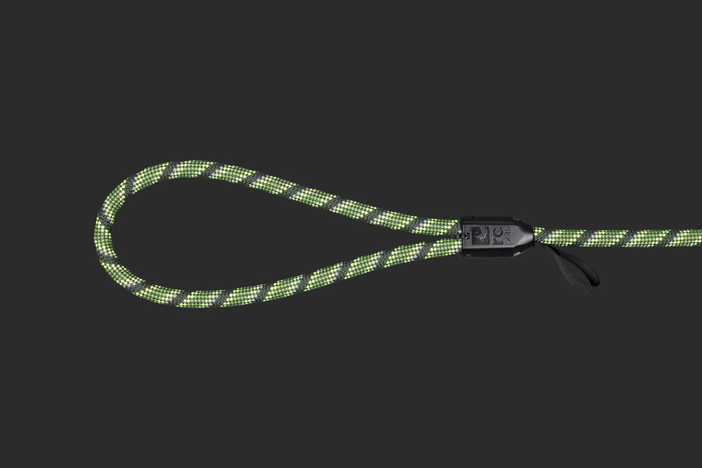 RC Pets Rope Slip Leash Black 1/2"x5'