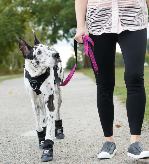 RC Pets Strider Boot X-Large 2pk