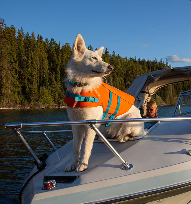 RC Pets Tidal Life Vest Medium
