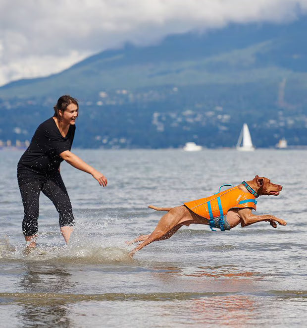 RC Pets Tidal Life Vest Medium
