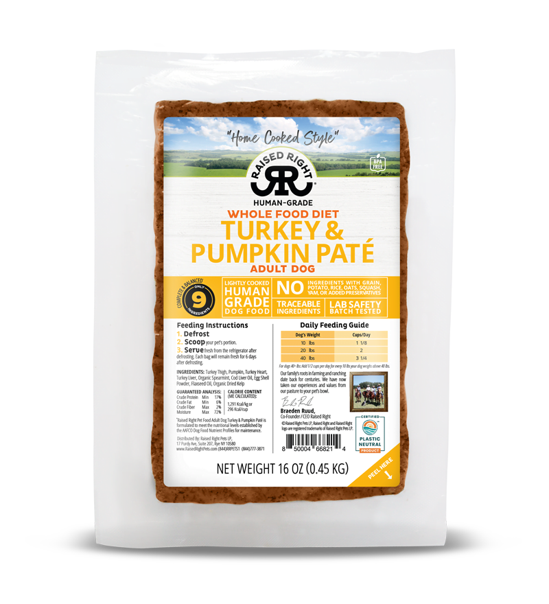 Raised Right Dog Turkey & Pumpkin Patã‰ 16Oz