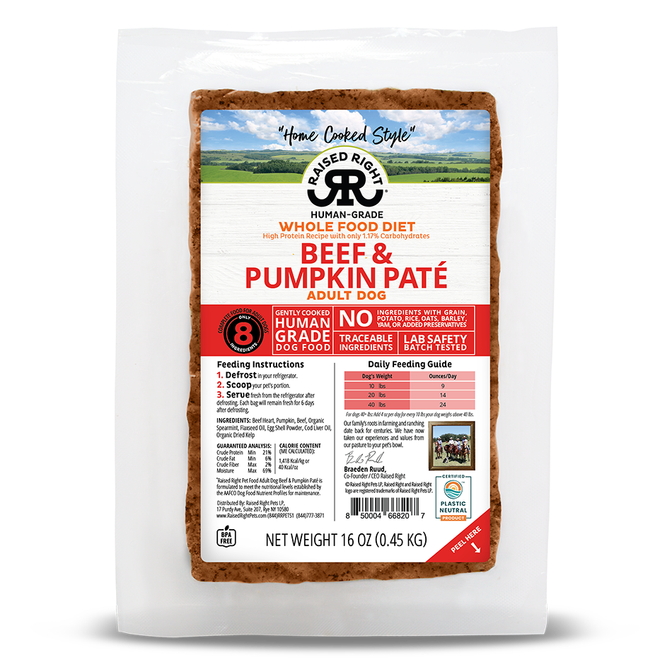 Raised Right Dog Beef & Pumpkin Pate 16oz