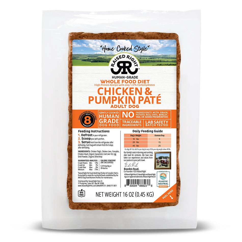 Raised Right Dog Chicken & Pumpkin Pate 16oz