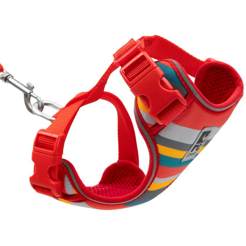 RC Pets Adventure Kitty Harness Multi Stripes Medium