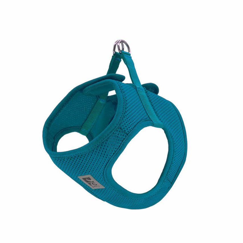 Rc Pets Cirque Step In Teal Large