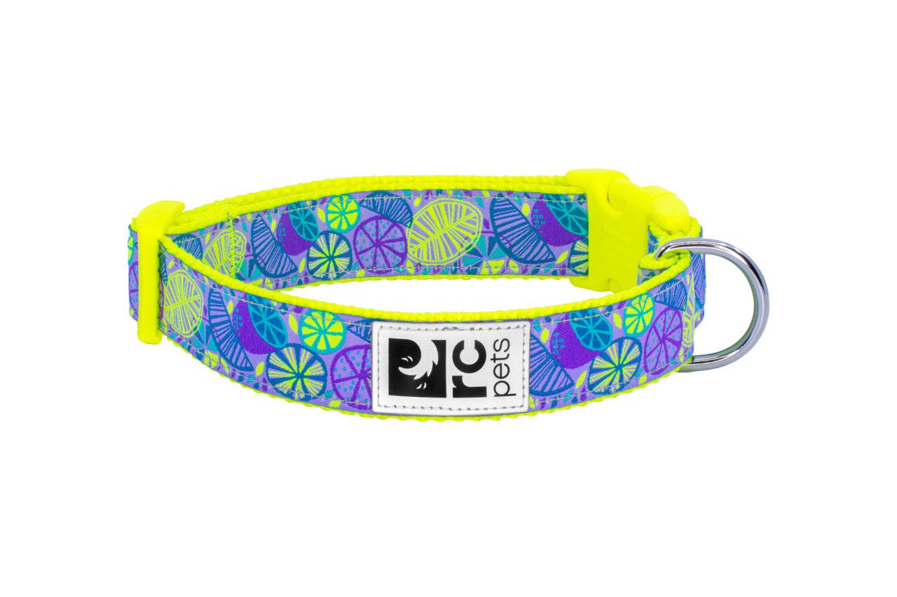 Rc Pets Clip Collar Citrus 1" Wide Large 15"-25"