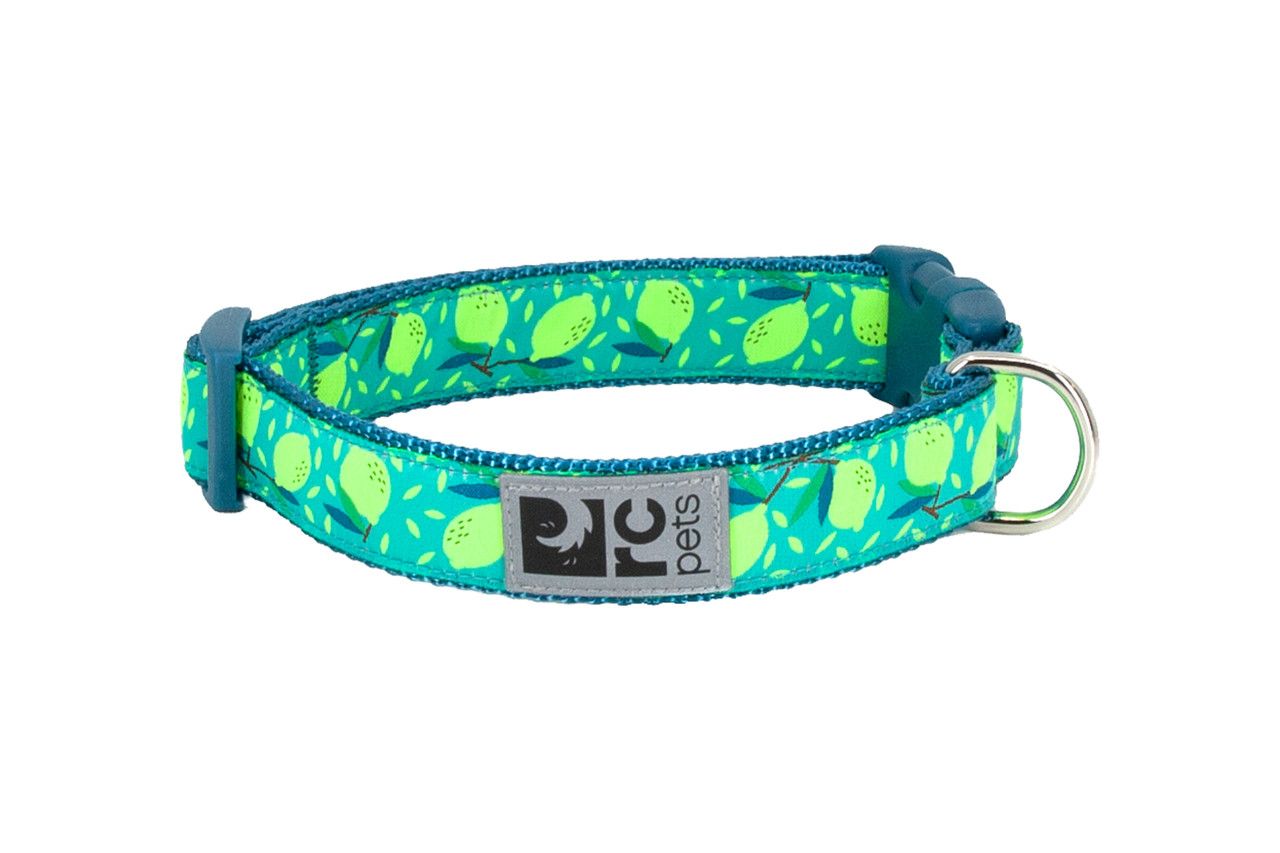 Rc Pets Clip Collar Lemonade 1'' Wide Large 15"-25"