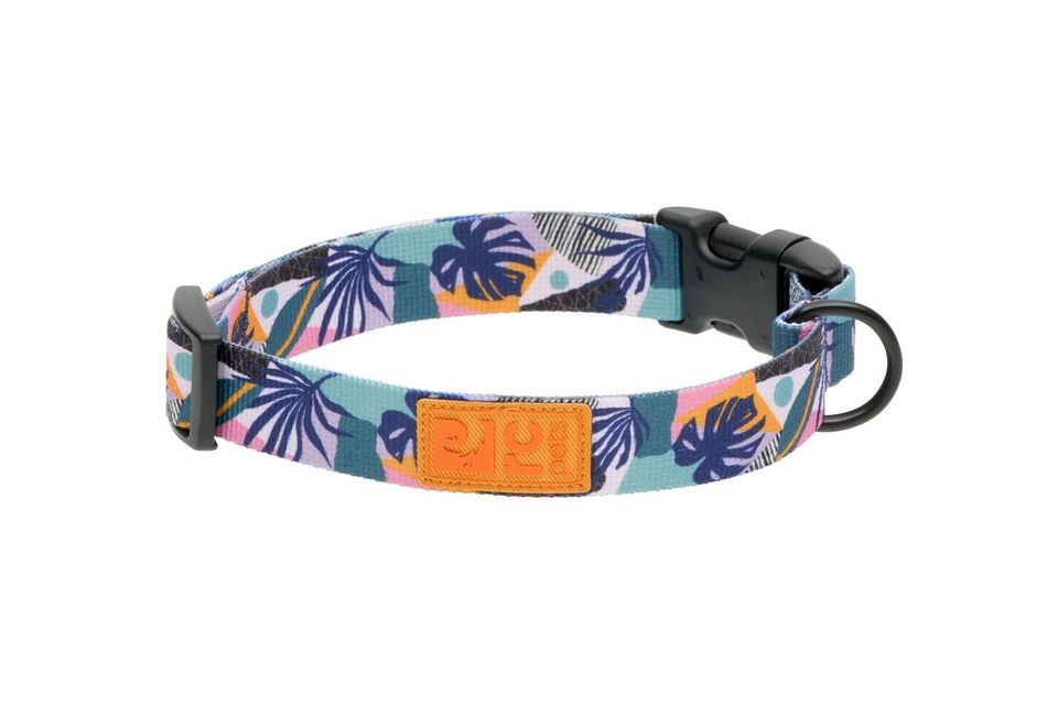 Rc Pets Eco Clip Collar Mystic Monstera 1" Wide Large 15" - 25"
