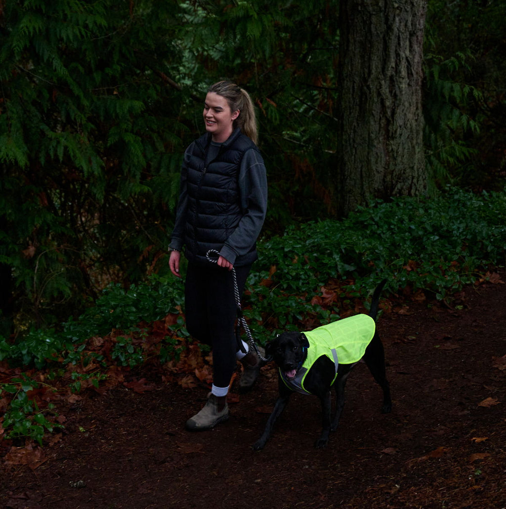 RC Pets Luna Hi-Vis Vest Medium - 17"