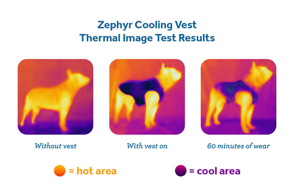 RC Pets Zephyr Cooling Vest Aqua Medium - 17"