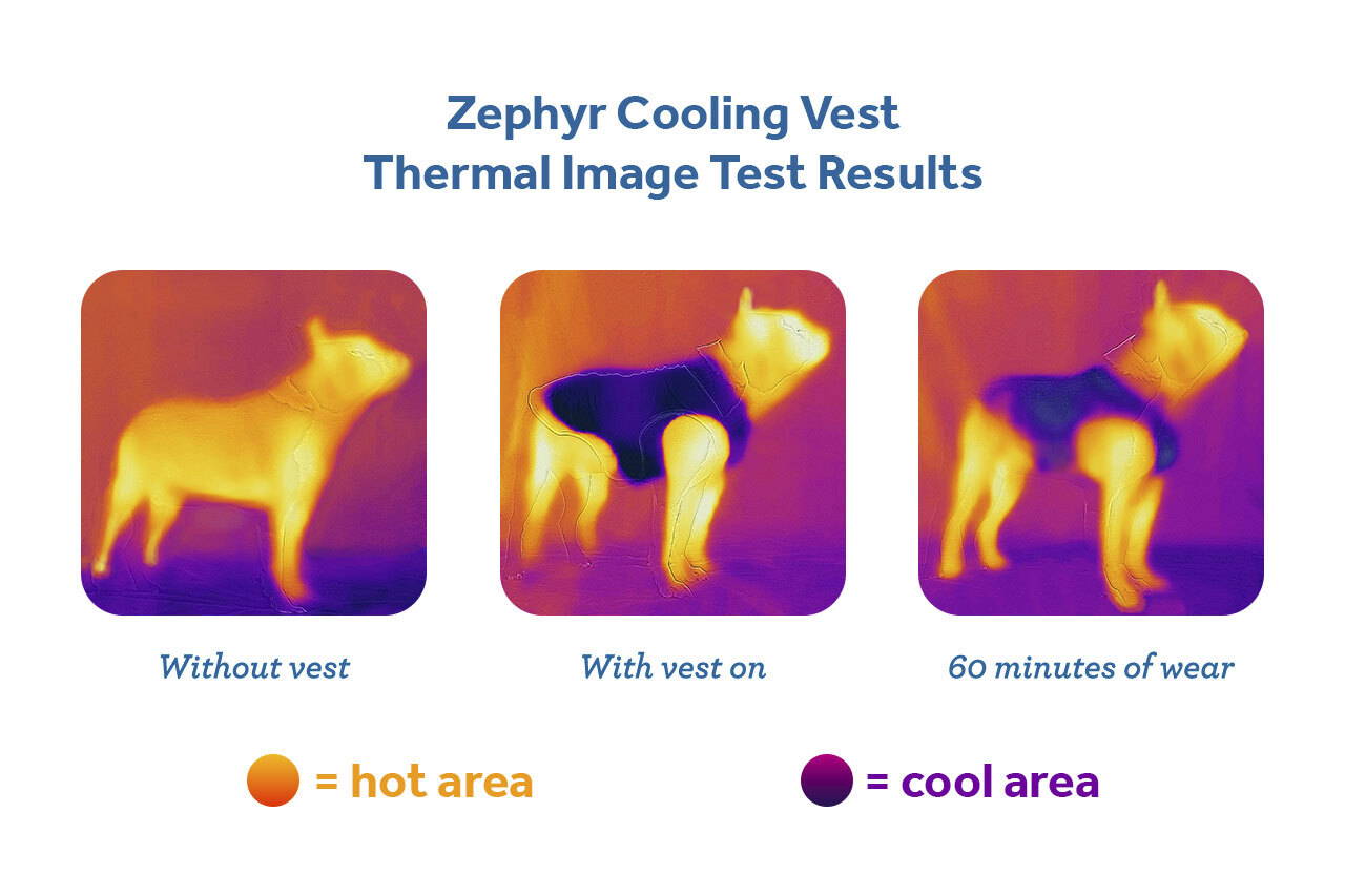 RC Pets Zephyr Cooling Vest Aqua Medium - 17"