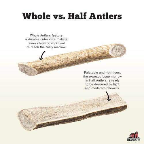 Redbarn Split Elk Antler XX-Large