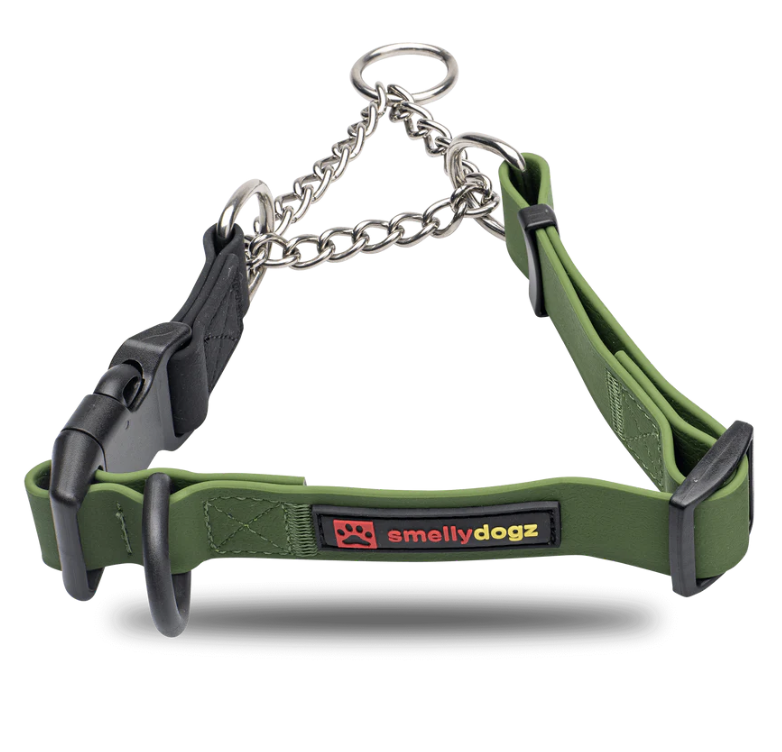Smellydogz Adjustable Martingale Collar Green 1" Wide Large
