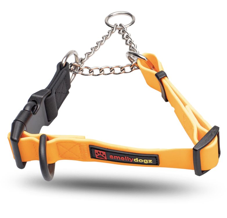 Smellydogz Adjustable Martingale Collar Orange 3/4" Wide Small