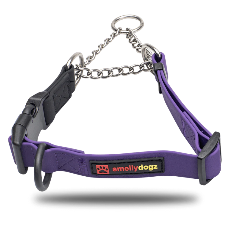 Smellydogz Adjustable Martingale Collar Purple 3/4" Wide Small