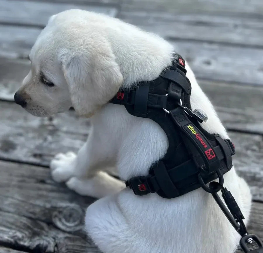 Smellydogz No-Pull Comfort Harness Small Black