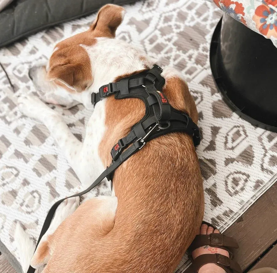 Smellydogz No-Pull Comfort Harness Medium Black