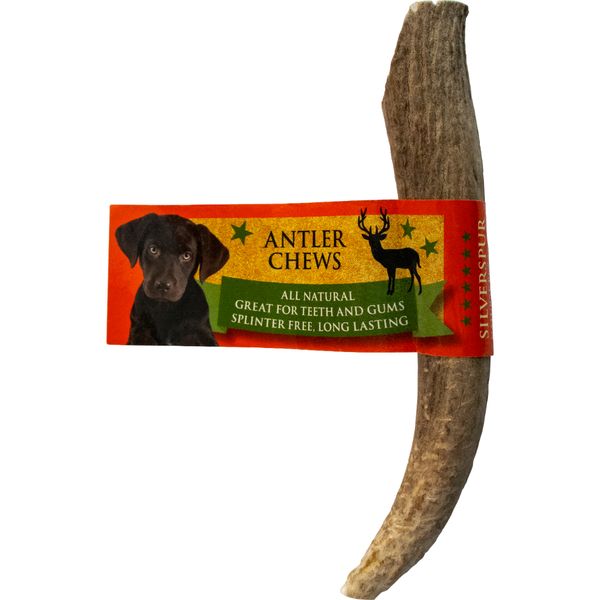 Silver Spur Antler Chews Solid Large