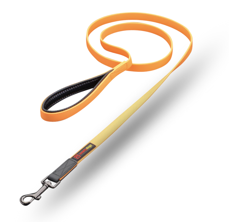 Smellydogz Comfort Lead Orange 3/4"X6'