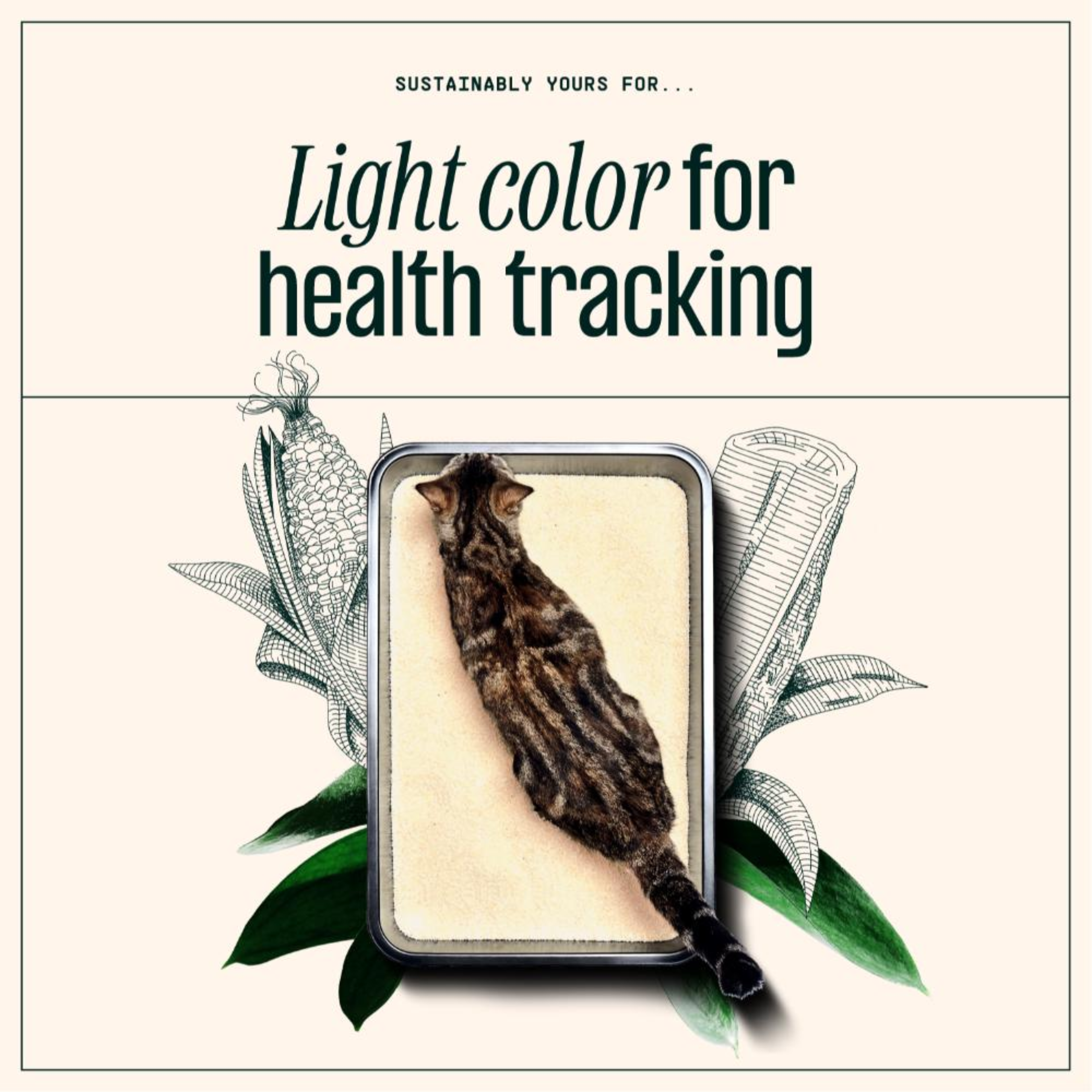 Sustainably Yours Multi-Cat Fine Grain Litter 13Lb/5.9Kg